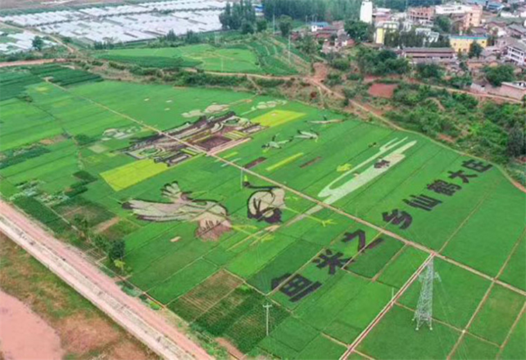 休閑觀光農(nóng)業(yè).jpg