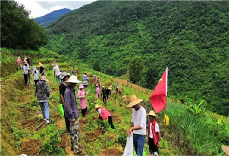 基層.jpg