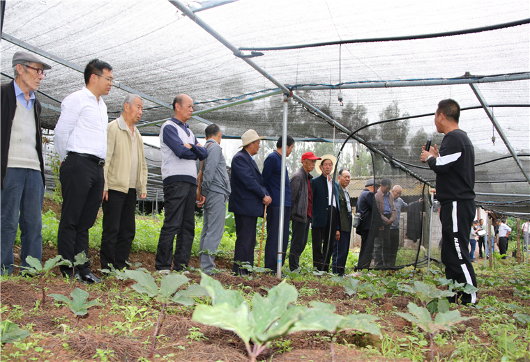 老干部參觀考察愛尼山中藥材種植基地.jpg