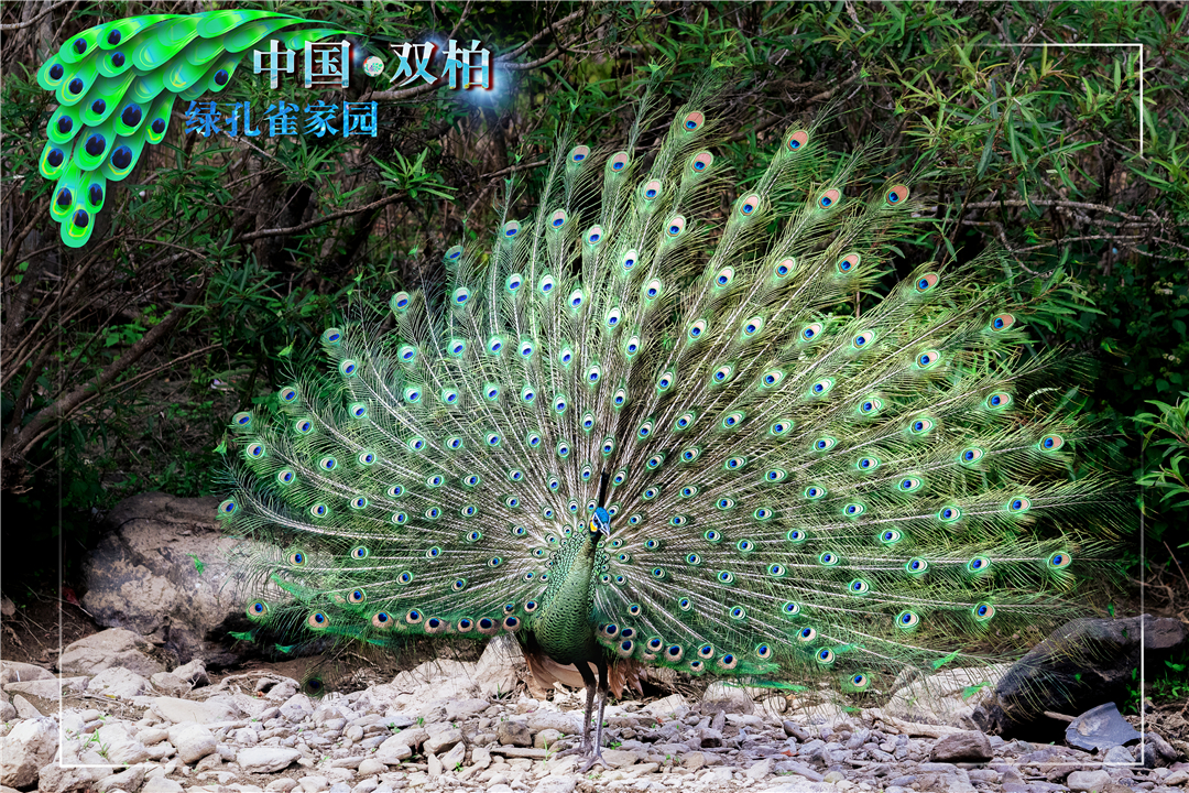 投稿 顏謙_DSC0336.jpg