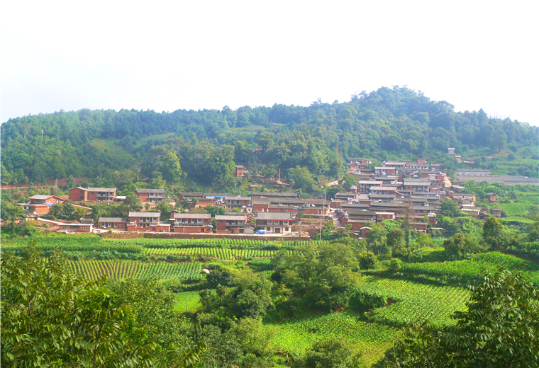 美麗村莊李方村.jpg