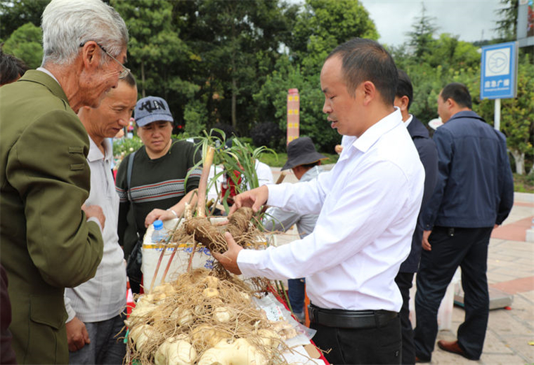 中藥材種植戶參加展銷會推介藥材.jpg