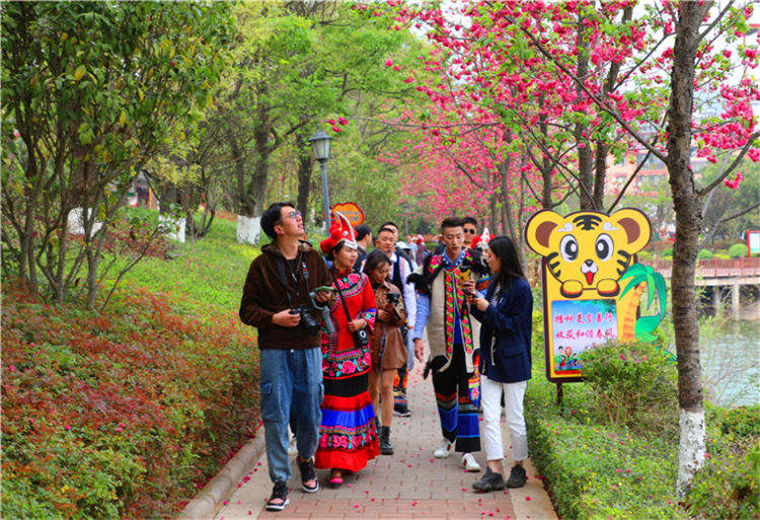 漫步櫻花大道.jpg