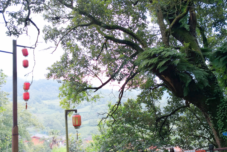 封底：寂靜的李方村（尹文娟攝）.jpg